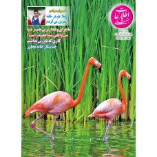 نسخه الکترونیک مجله اطلاعات هفتگی شماره 3754